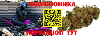 экстази Можга