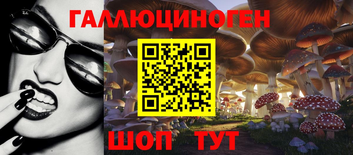 магазин продажи наркотиков  Псилоцибиновые грибы Psilocybine cubensis  Вход с VPN  Бузулук 